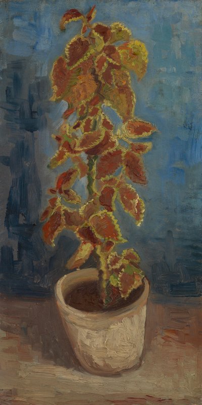 Flame Nettle in a Flowerpot by Vincent van Gogh